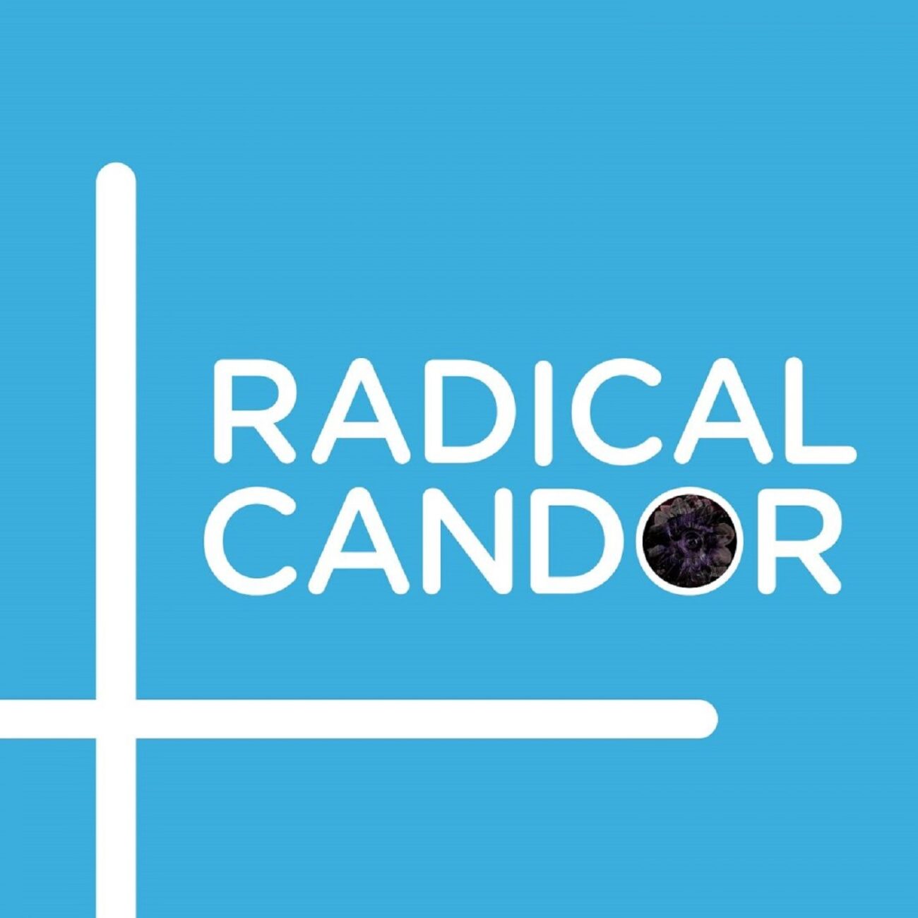 cover of episode Radical Candor