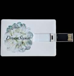 The DreamScenes Decennium – 10 Year Anniversary USB